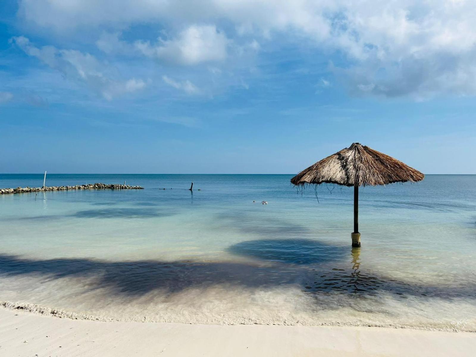 فندق El Embrujo Tintipan Tintipan Island المظهر الخارجي الصورة